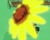 Dawnbound