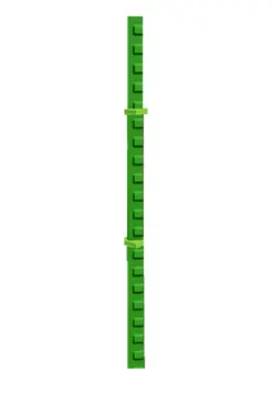 Bamboo