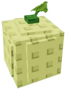Cantaloupe