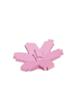 Cherry Blossom