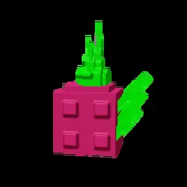 Dragon Fruit