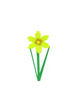 Daffodil