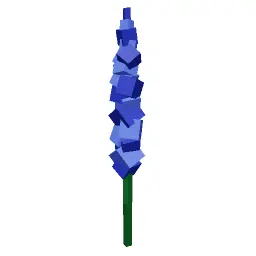 Delphinium