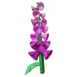 Foxglove