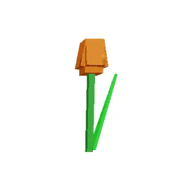 Orange Tulip