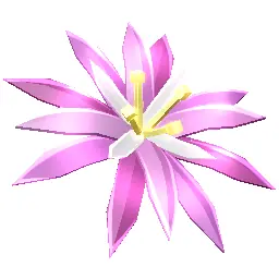 Paradise Petal