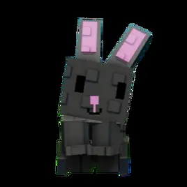 Black Bunny