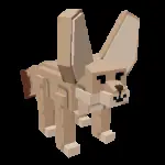 Fennec Fox