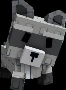 Raccoon