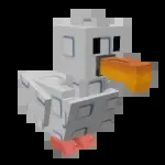 Seagull