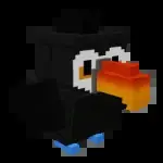 Toucan